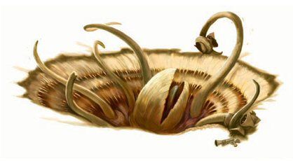 sarlacc_negas.jpg